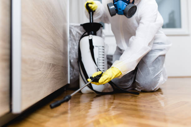 Best Residential Pest Control  in Pitola, CA