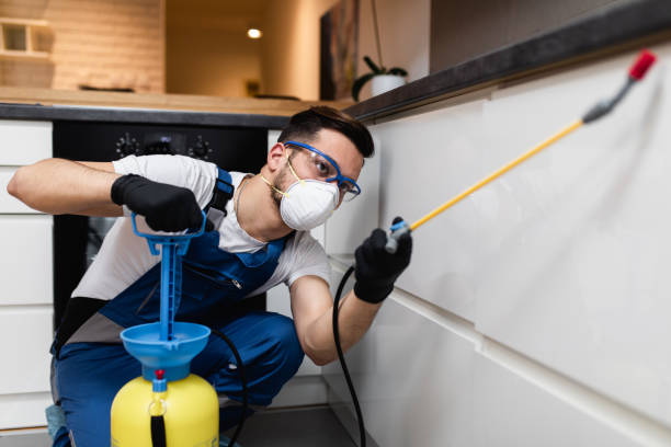 Flea Control Services in Capitola, CA