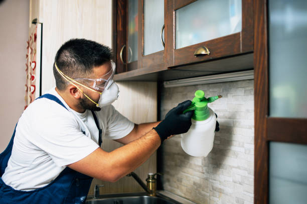 Best Emergency Pest Control  in Pitola, CA