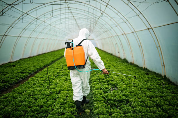 Best Commercial Pest Control Services  in Pitola, CA