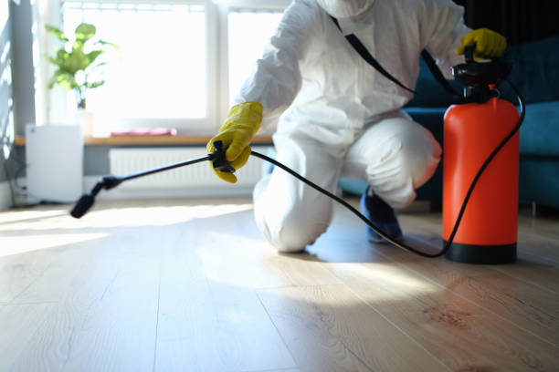 Best Pest Control Treatment  in Pitola, CA