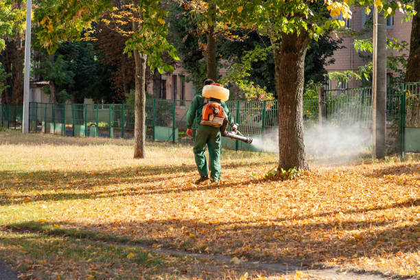 Best Pest Prevention Services  in Pitola, CA