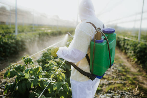 Best Best Pest Control Companies  in Pitola, CA